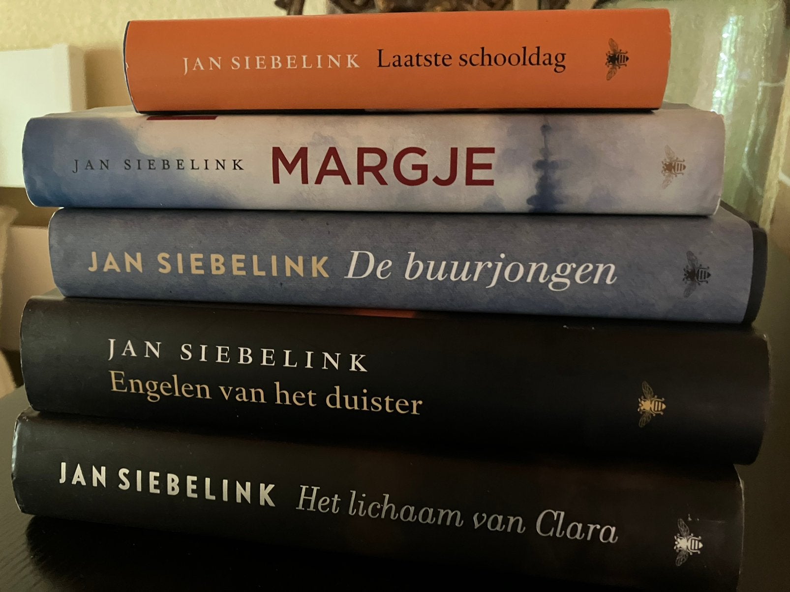 Vijf romans van Jan Siebelink, Ophalen of Verzenden, Zo goed als nieuw, Nederland