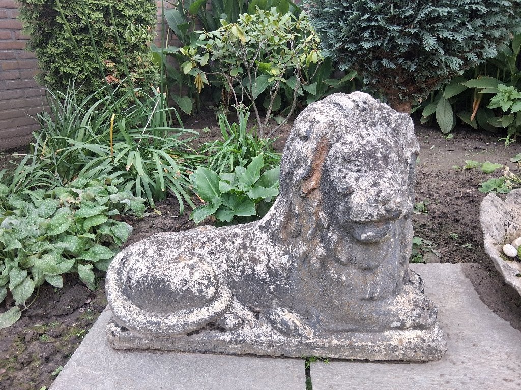 2 tuinbeelden leeuwen, Ophalen, Gebruikt, Beton, Dierenbeeld