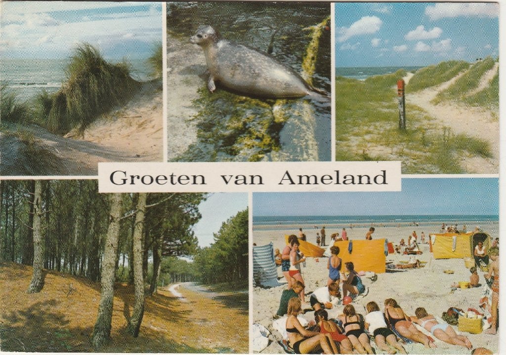 AMELAND Duin Bos Zeehond Strand Groeten, Verzamelen, Verzenden, 1960 tot 1980, Gelopen, Waddeneilanden