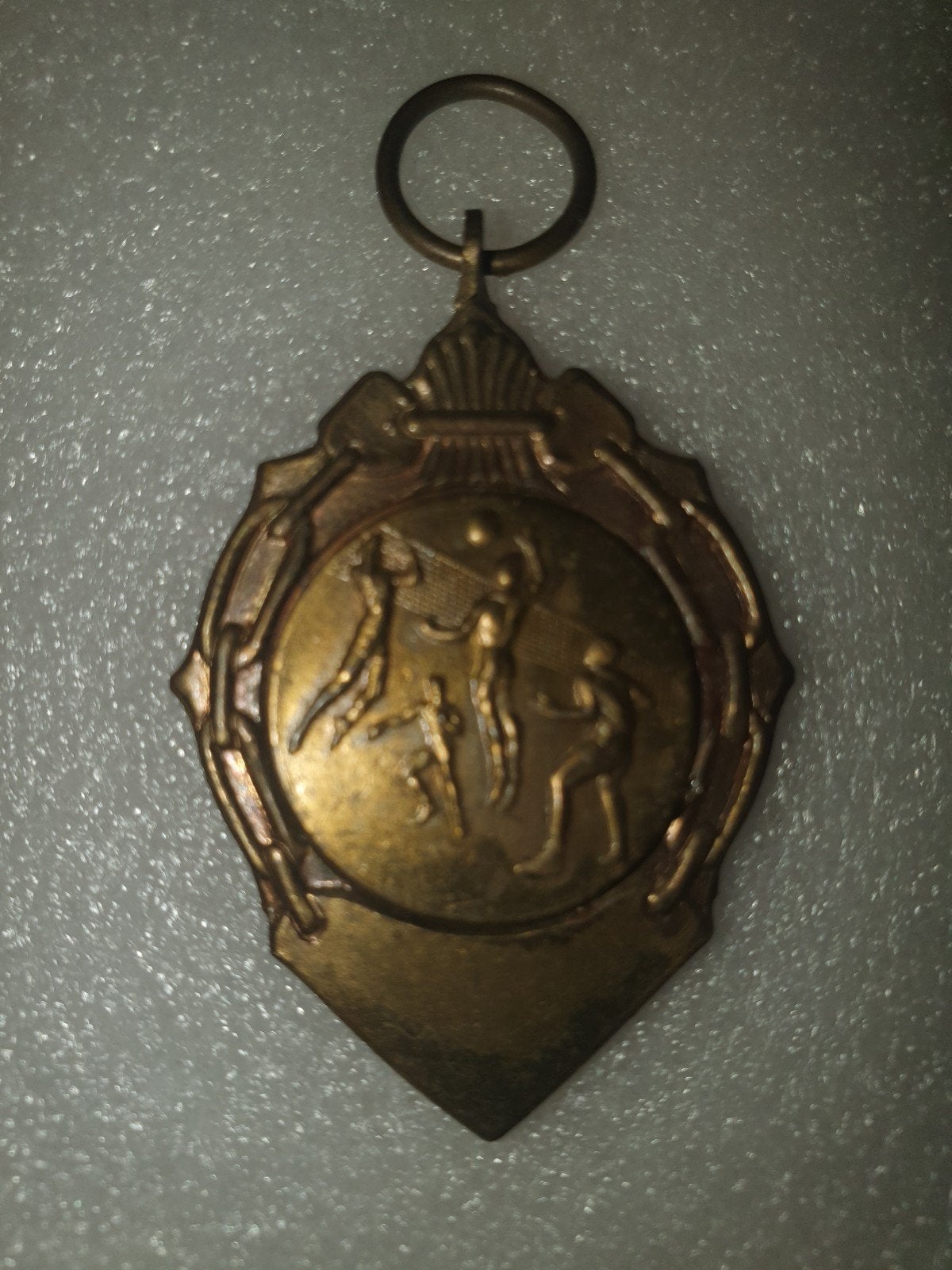Medaille sportdag TD, Ophalen of Verzenden, Overige materialen, Nederland