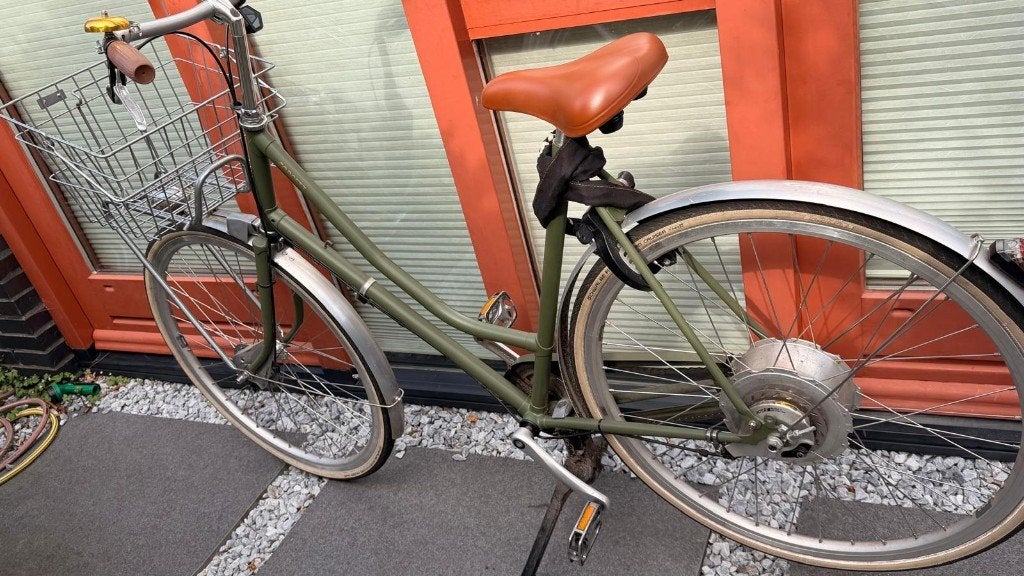 Roetz E-bike dames, Fietsen en Brommers, 47 tot 50 cm, Schijfrem, Ophalen, Overige merken
