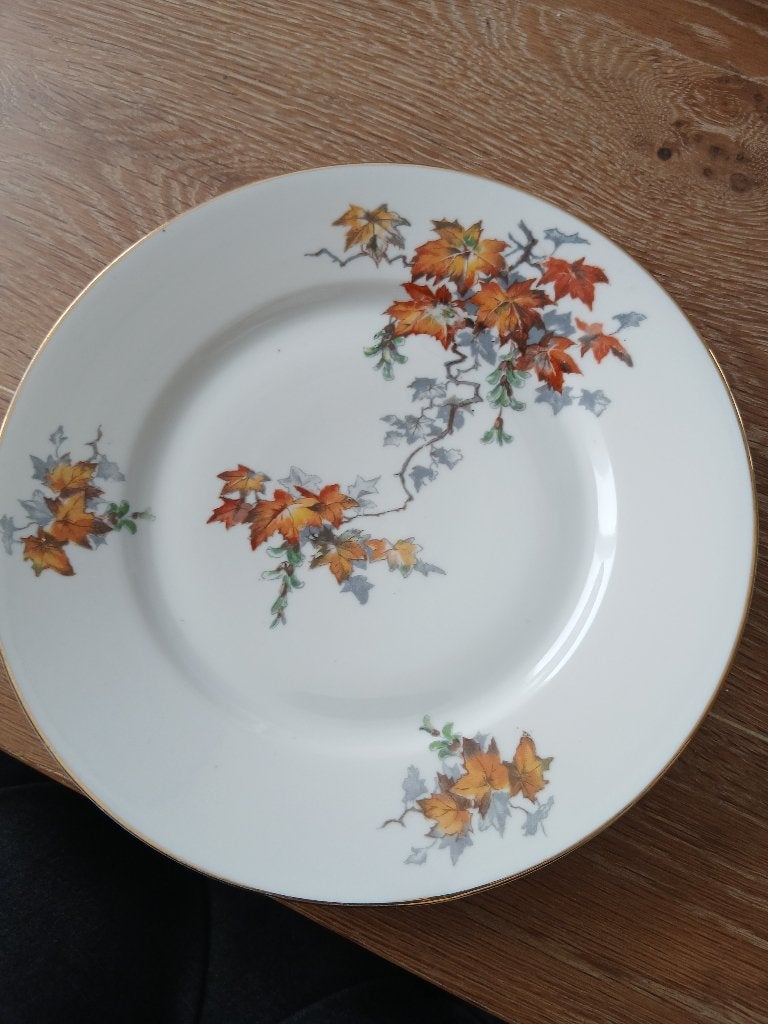 Prachtig porseleinen servies van gebroeders H Bavaria, Ophalen