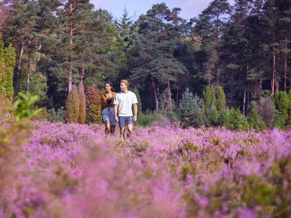 Center Parcs minimaal €75 kortingsbon geldig tm 30-08 OP=OP!, Drie personen of meer, Kortingsbon, Bungalowpark