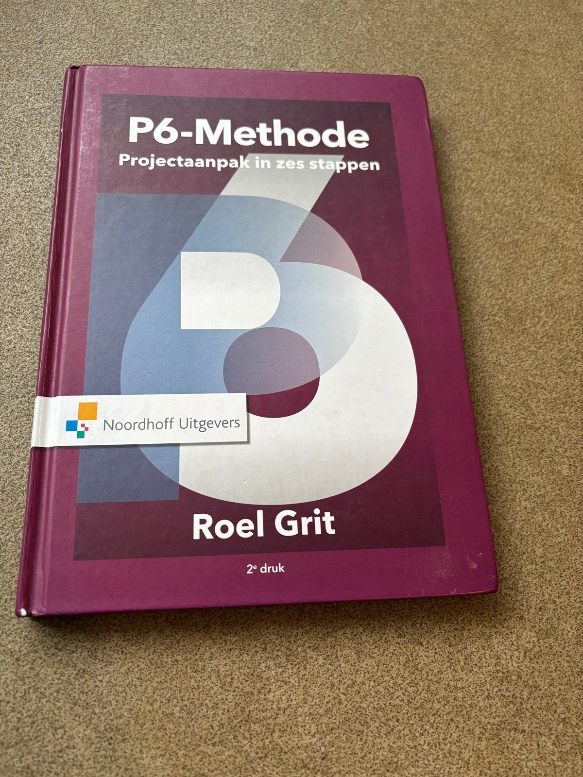 P6-Methode Projectaanpak in zes stappen - Roel Grit, Ophalen of Verzenden, Gamma, Zo goed als nieuw, HBO