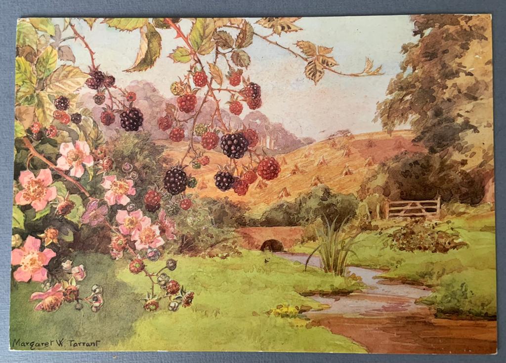 Bramen door Margaret W. Tarrant, Verzamelen, Ansichtkaarten | Themakaarten, Verzenden, 1960 tot 1980, Gelopen, Natuur