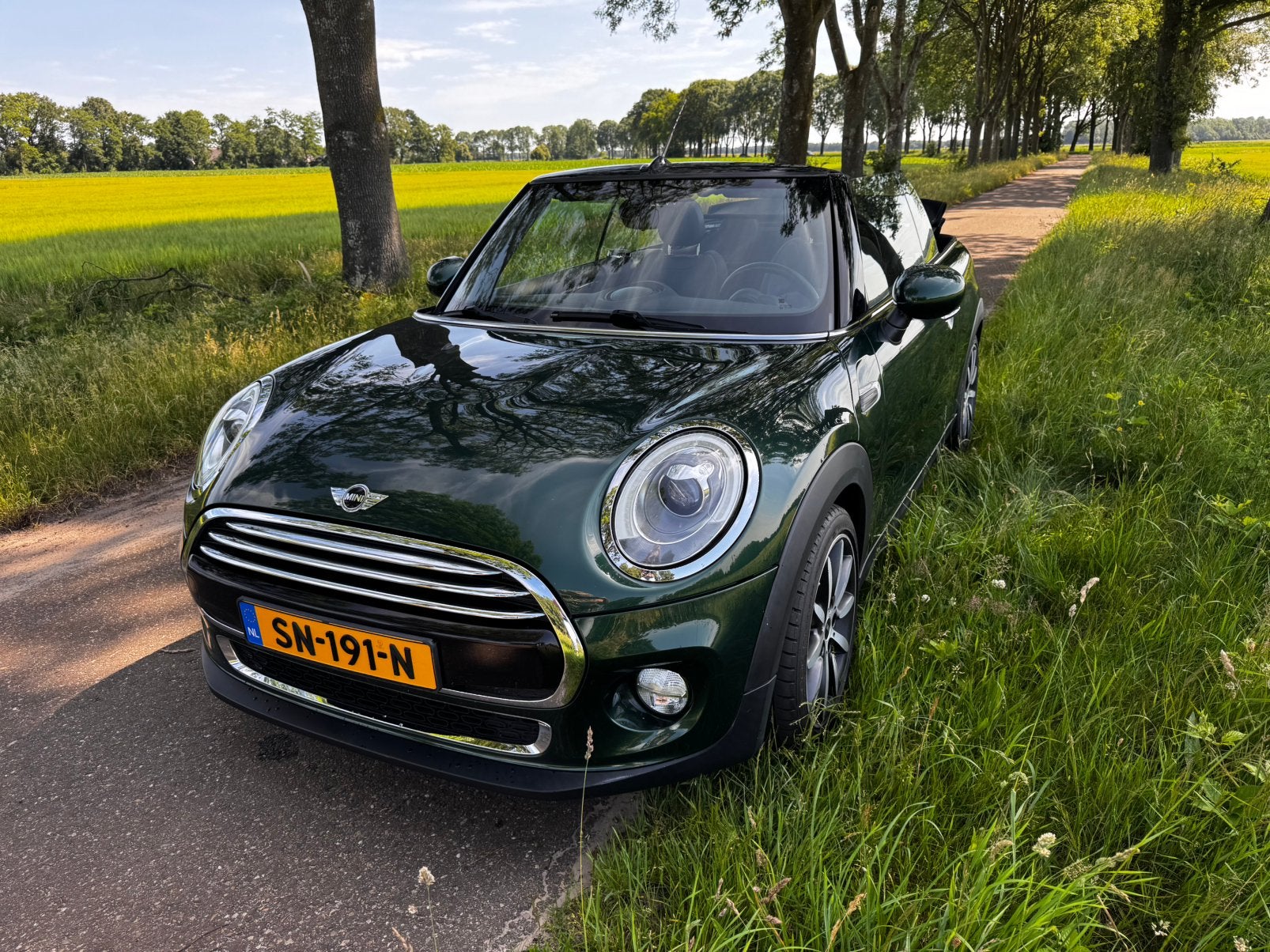 Mini Cabrio Cooper Chili Serious Business, Voorwielaandrijving, 136 pk, Cabriolet, 4 stoelen