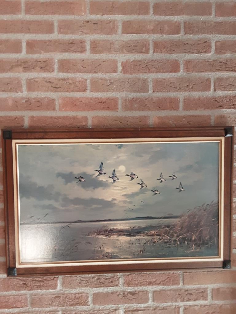 Schilderij met houten lijst. 54x82 cm., Ophalen of Verzenden