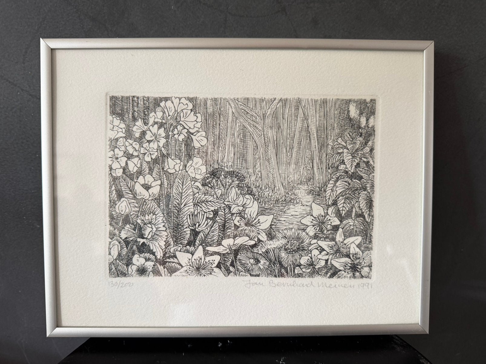 Ets van Jan Bernhard Meinen 1991., Antiek en Kunst, Kunst | Litho's en Zeefdrukken, Ophalen of Verzenden, Gelimiteerde oplage
