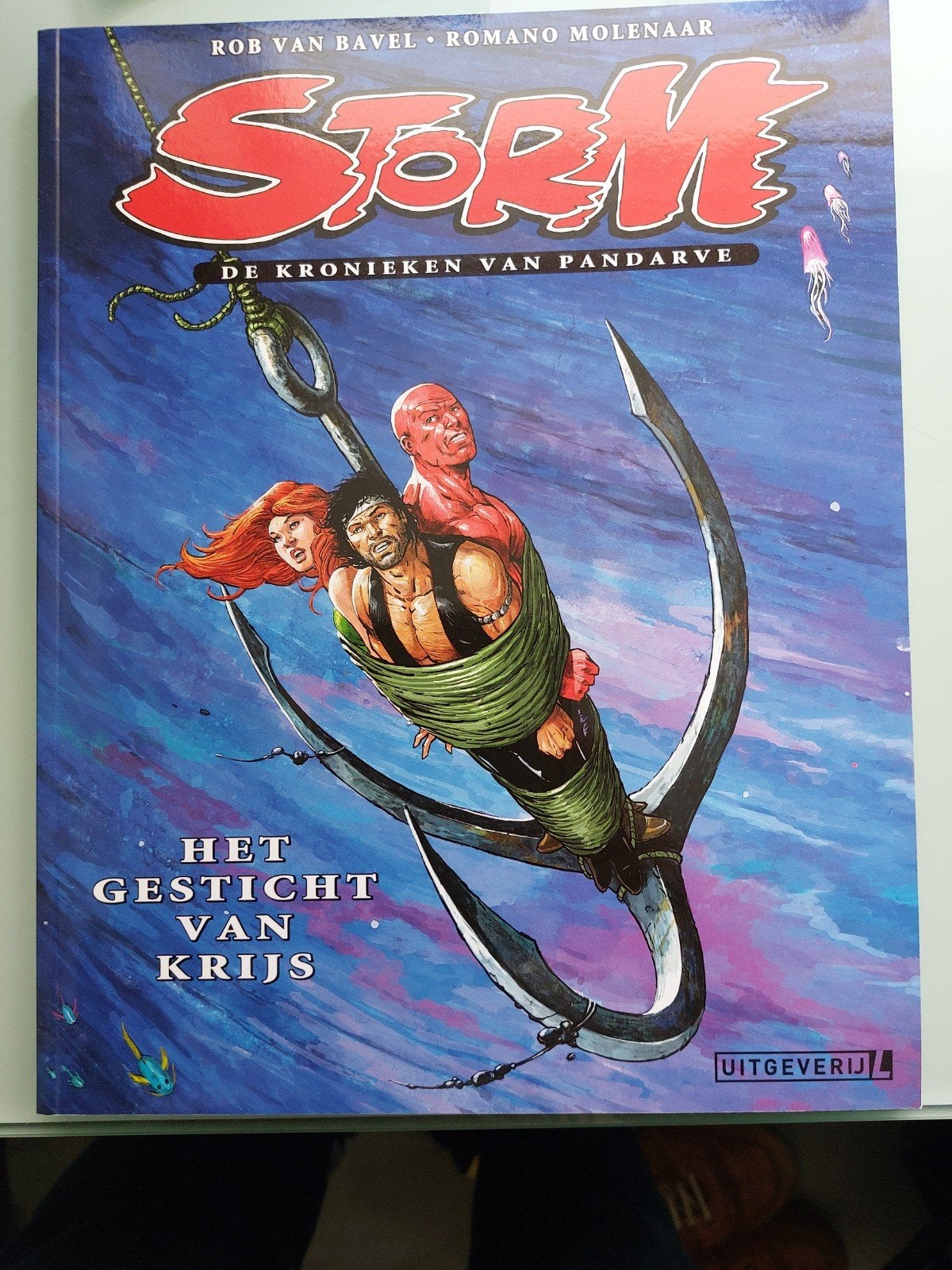 Storm: De Kronieken van Pandarve - Het Gesticht van Krijs, Boeken, Eén stripboek, Ophalen of Verzenden, Zo goed als nieuw