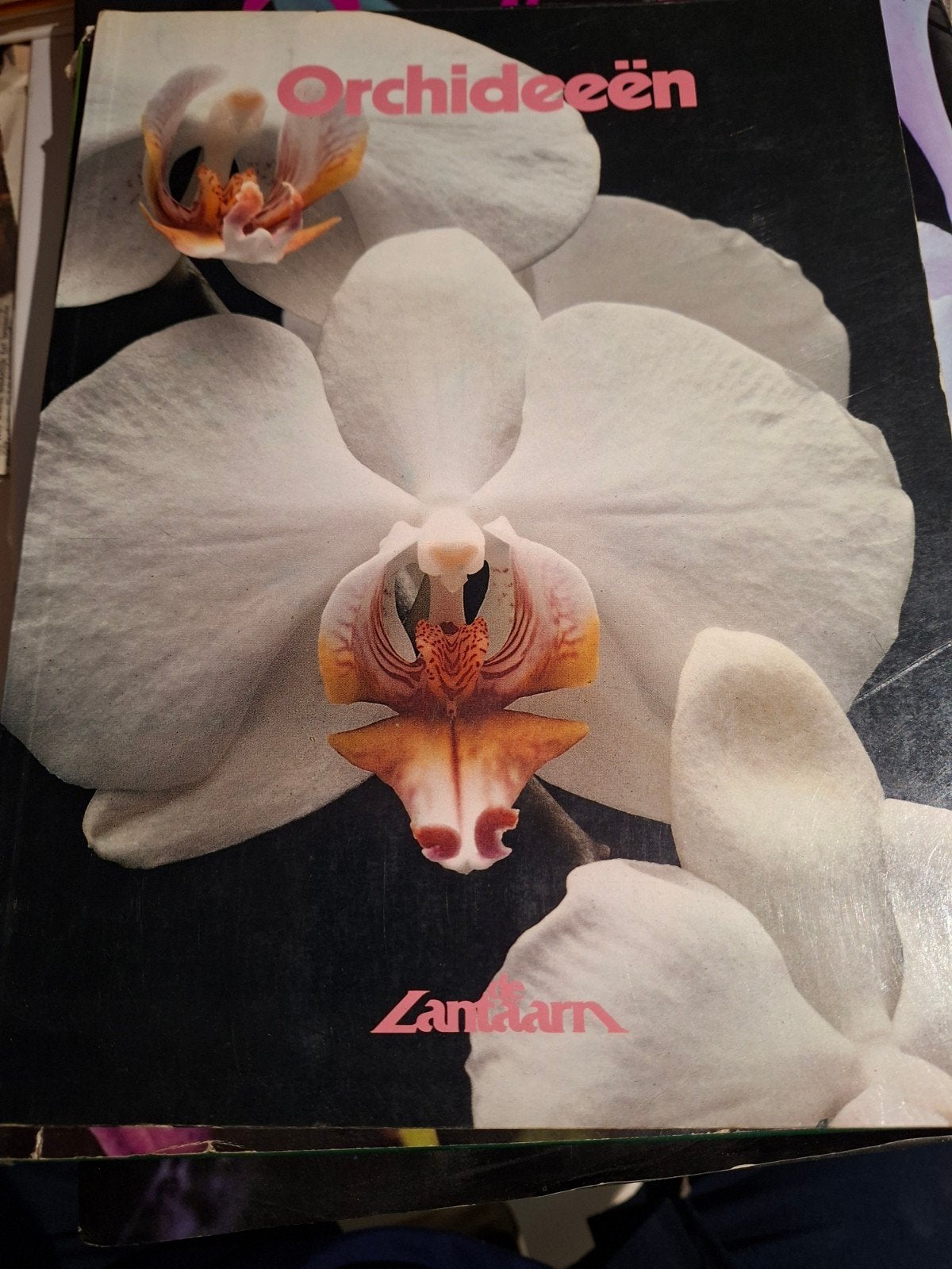 Orchideeën boek - Prachtige gids over orchideeën, Ophalen of Verzenden, Gelezen, Bloemen, Planten en Bomen, Onbekend