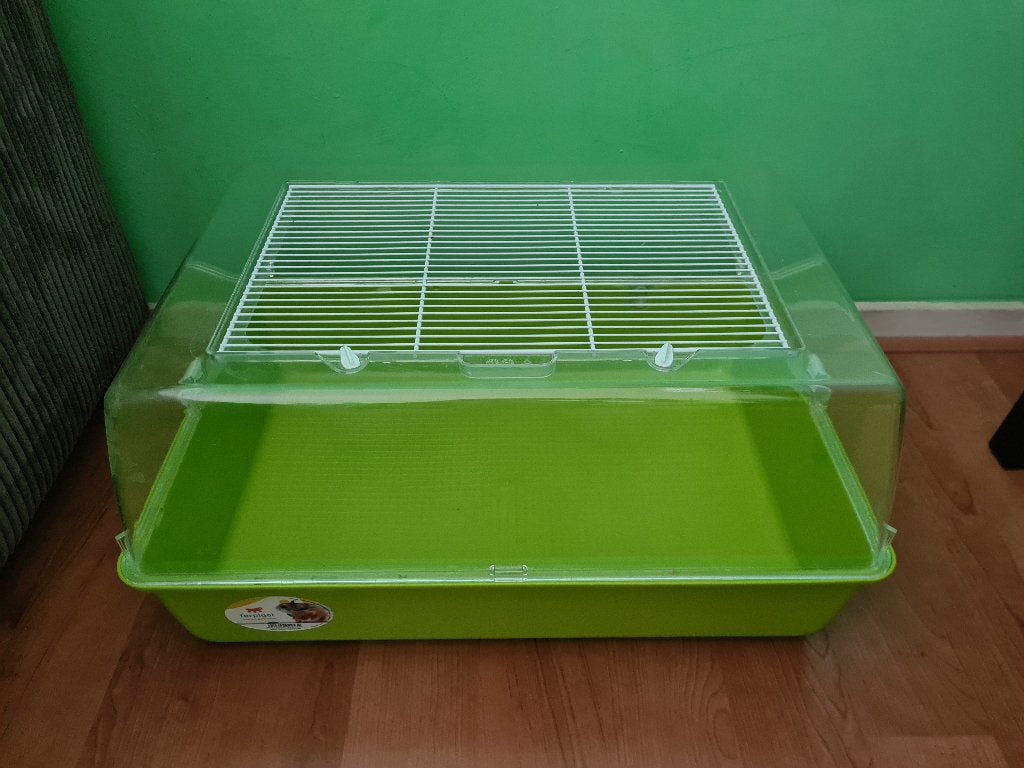 Duna Mini, Dieren en Toebehoren, Gebruikt, Overige typen, Minder dan 75 cm, Muis