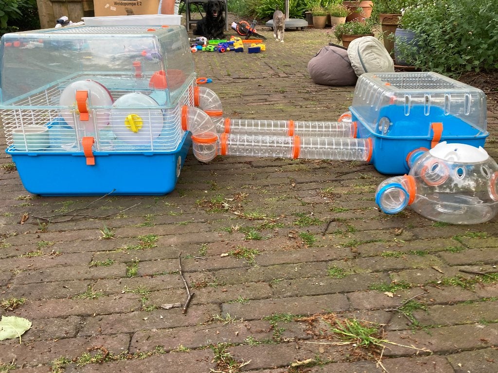 Hamsterkooi Ferplast met verschillende uitbreidingen, Dieren en Toebehoren, Knaagdieren en Konijnen | Hokken en Kooien, Kooi, Gebruikt