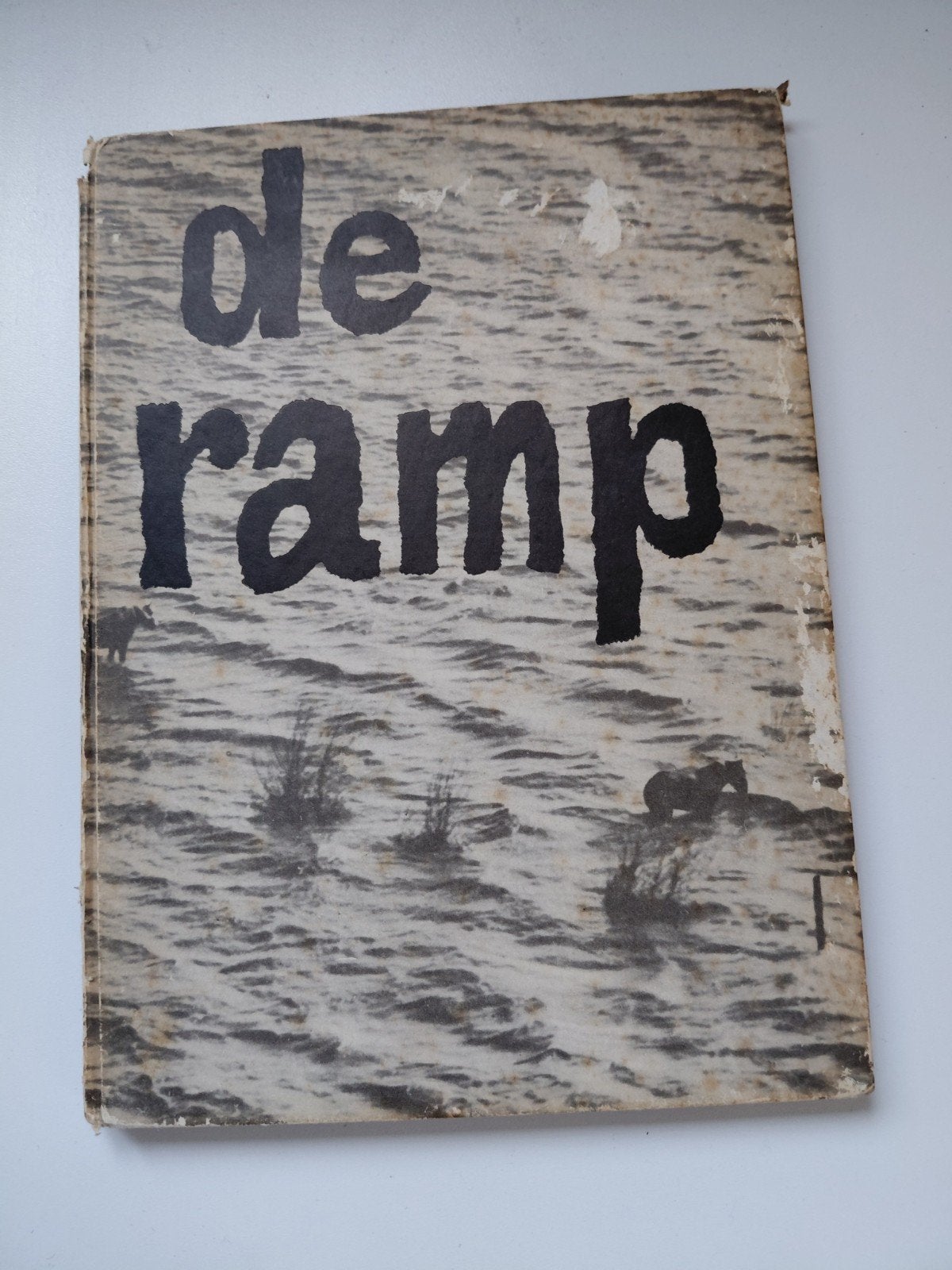 boek De Ramp, Ophalen of Verzenden, Gelezen