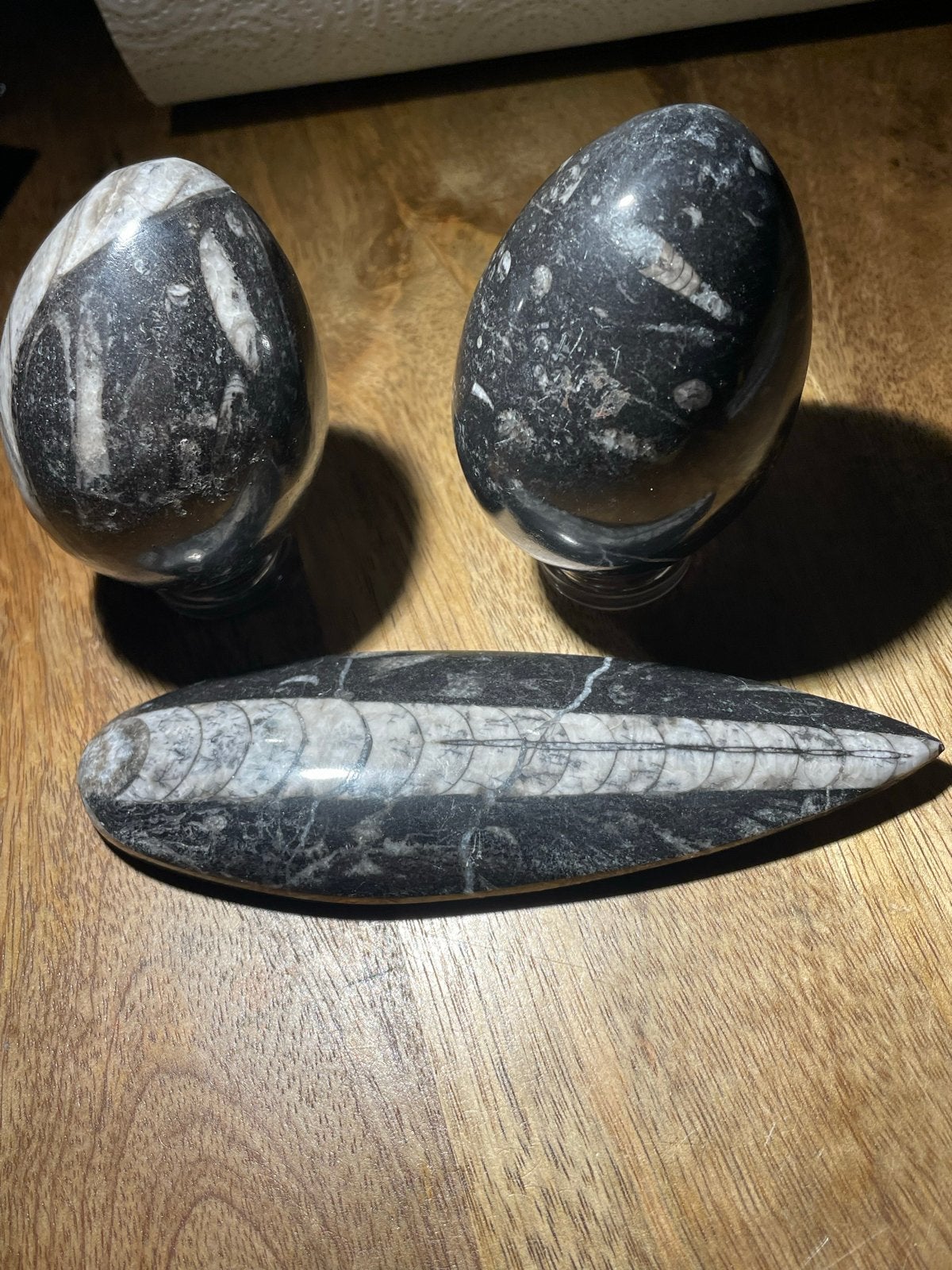 Set van 2 Fossiele Orthoceras en 2 Trilobiet Eieren Set, Verzamelen, Mineralen en Fossielen, Fossiel, Ophalen of Verzenden
