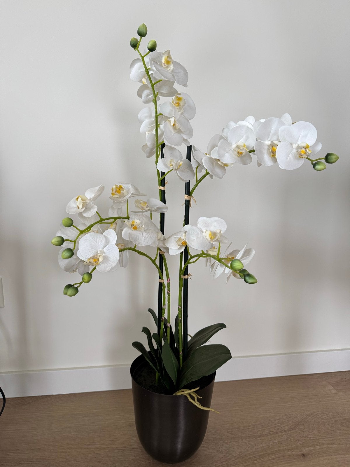 Prachtige witte kunstorchidee in pot, Ophalen, Binnen, Kunstplant, Kunststof