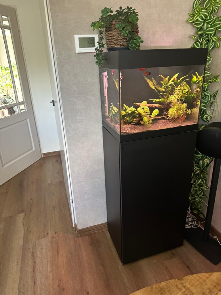Oase aquarium inclusief toebehoren, Ophalen, Zo goed als nieuw, Gevuld zoetwateraquarium, Oase