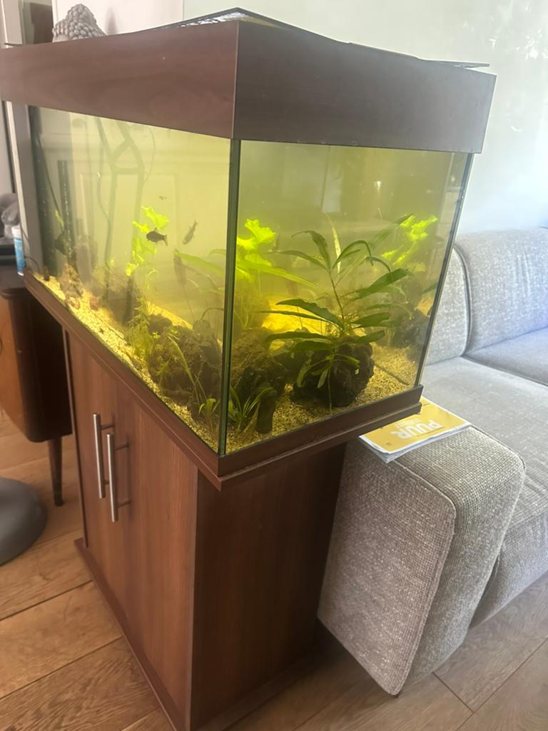 Aquarium juwel 80 cm breed, Dieren en Toebehoren, Ophalen of Verzenden, Gebruikt, Leeg aquarium