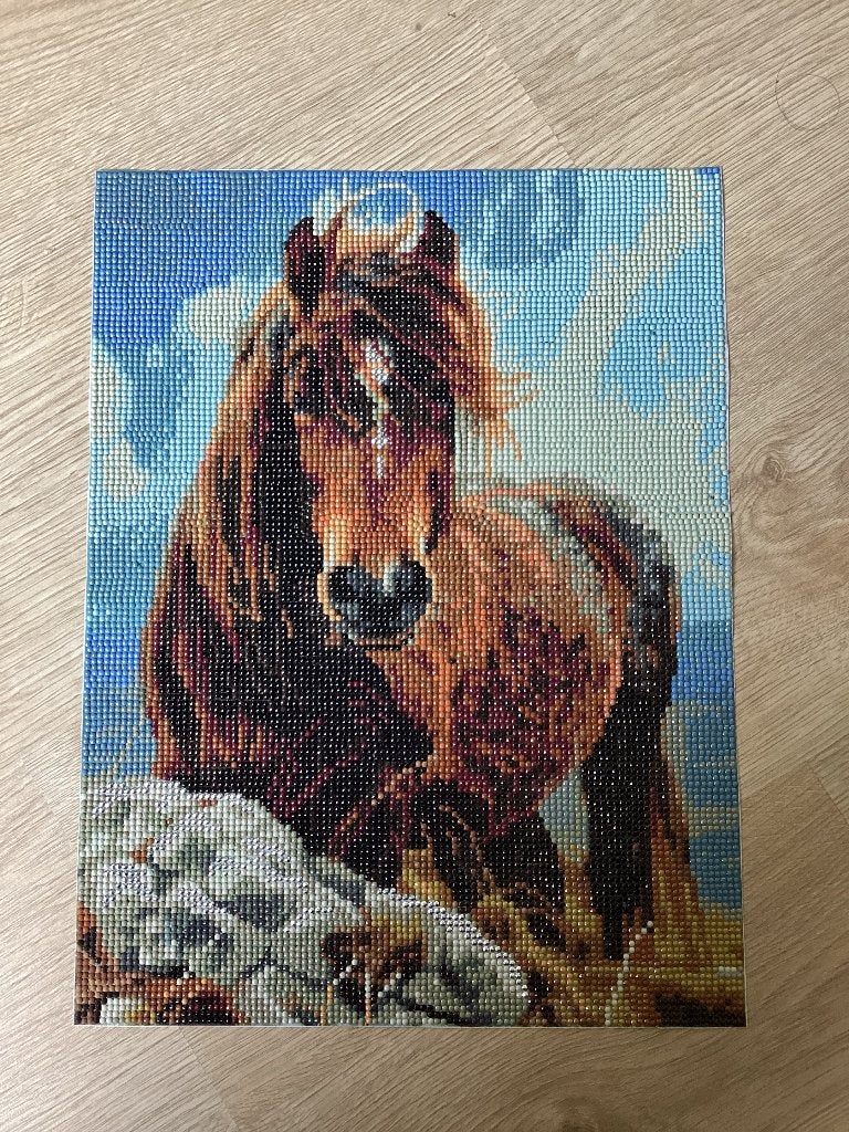 Paard diamond painting, Ophalen, Dieren, Nieuw, Meerkleurig