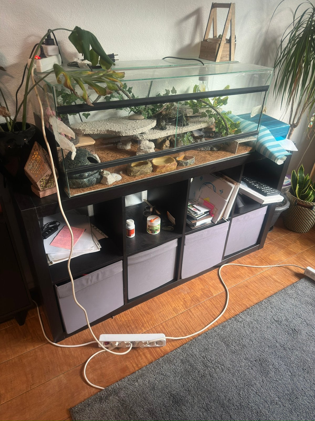 Kallax kast zwart 2x4, Dieren en Toebehoren, Ophalen, Zo goed als nieuw