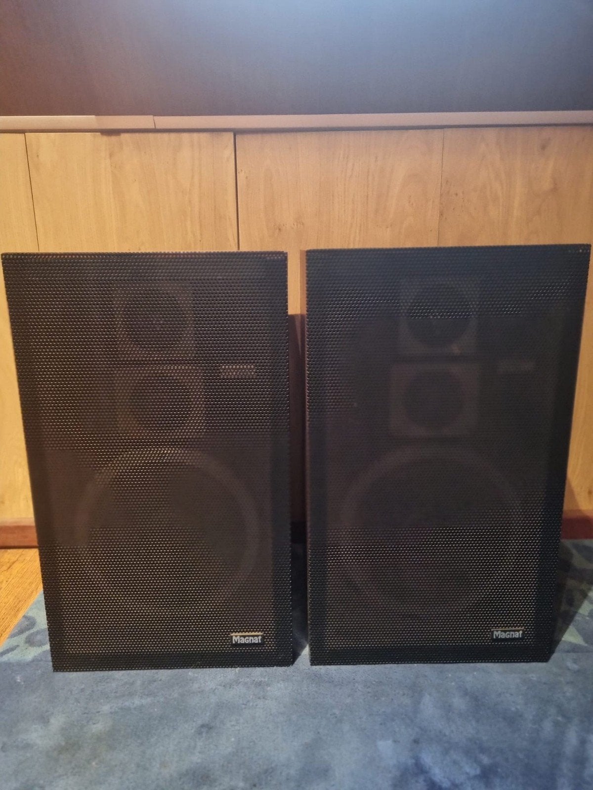 Magnat All Ribbon 10 P Speakers - Vintage Hifi Geluid
