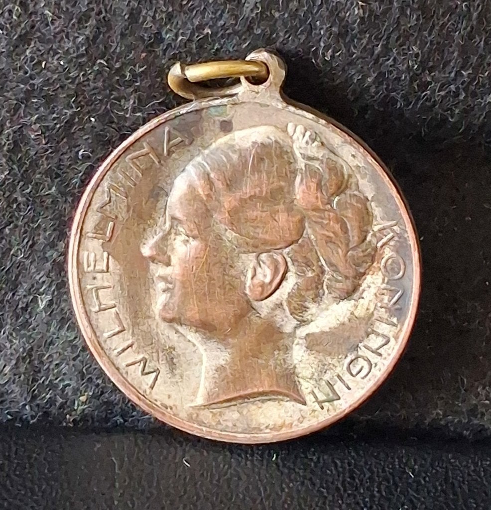 penning Koningin Wilhelmina (19), Ophalen of Verzenden, Overige materialen, Nederland