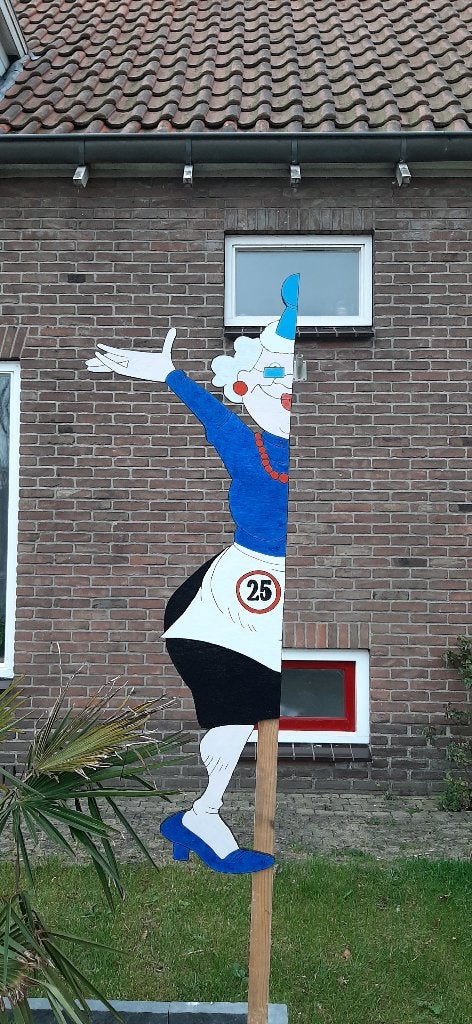 Halve Sarah bord te huur - Feestbord 25 Jaar - €10,00 P/W, Ophalen, Zo goed als nieuw, Abraham of Sarah