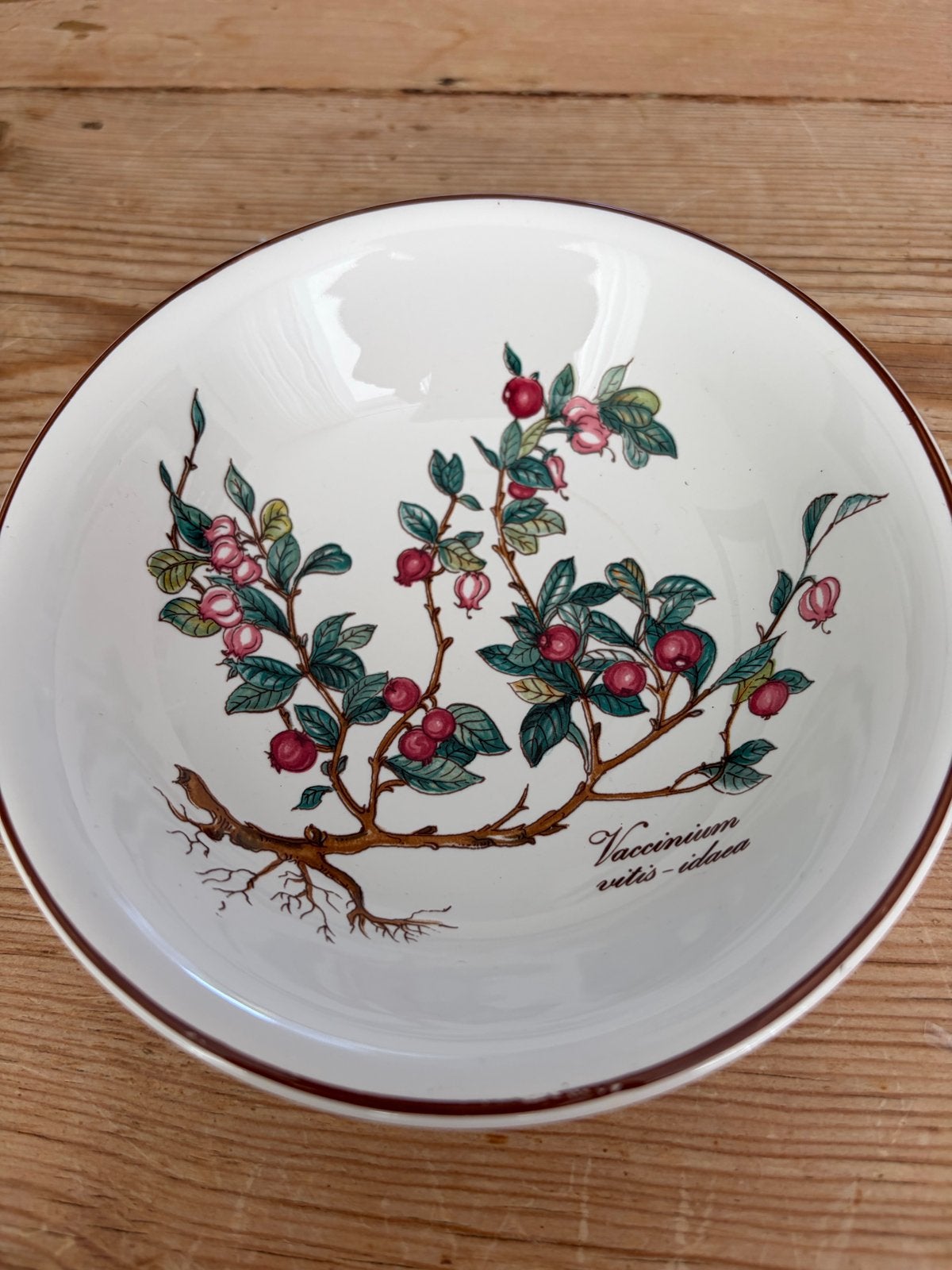 Villeroy & Boch Botanica schaal Vaccinium vitis-idaea, Klassiek, Villeroy & Boch, Nieuw, Ophalen of Verzenden