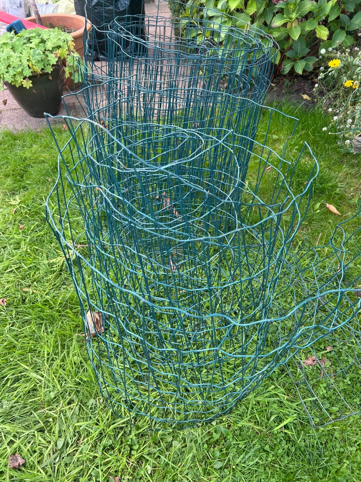 Tuingaas te koop, Tuin en Terras, Ophalen, Gebruikt, 10 tot 20 meter