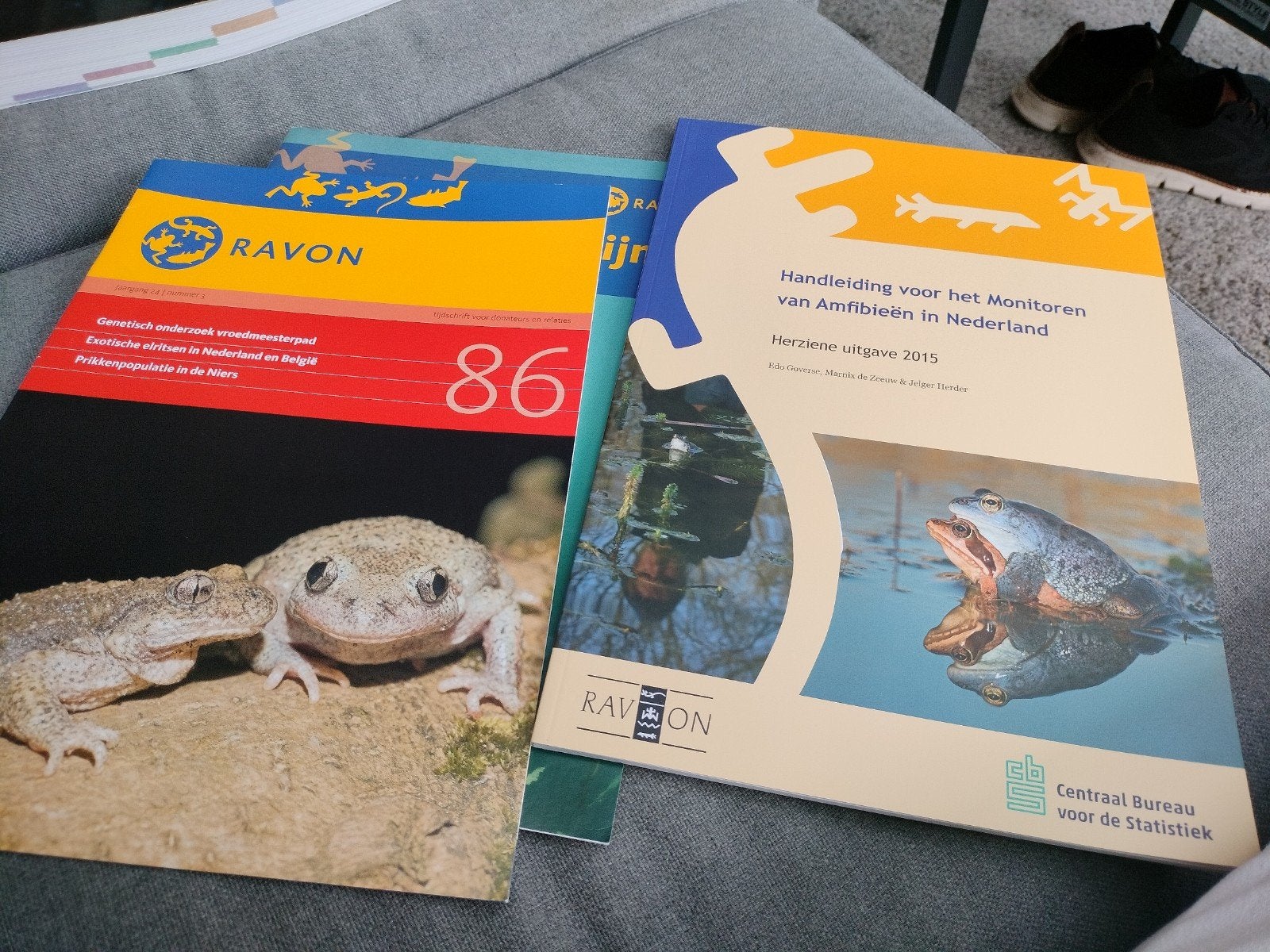 RAVON tijdschriften en handleidingen over amfibieën, Ophalen of Verzenden, Zo goed als nieuw, Natuur algemeen