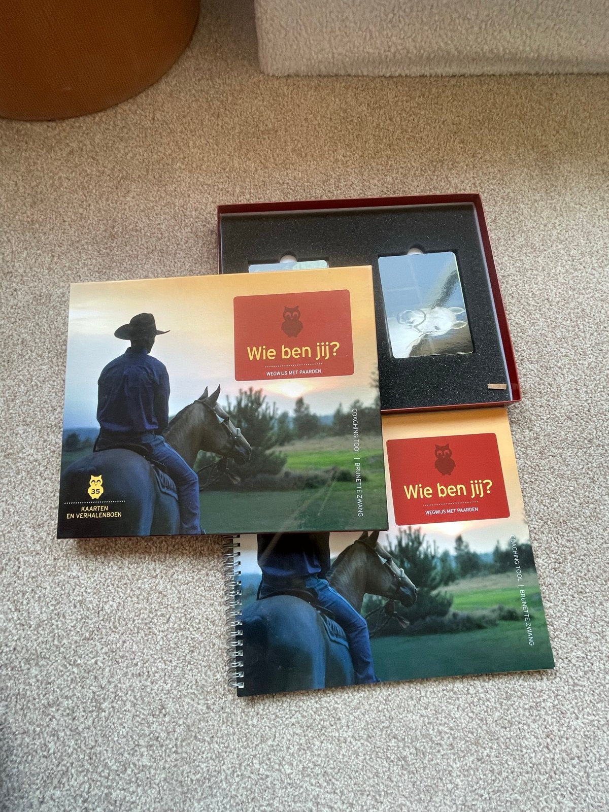 Paardenspel: Wie ben jij? - Meisjes met paarden, Ophalen of Verzenden, Zo goed als nieuw