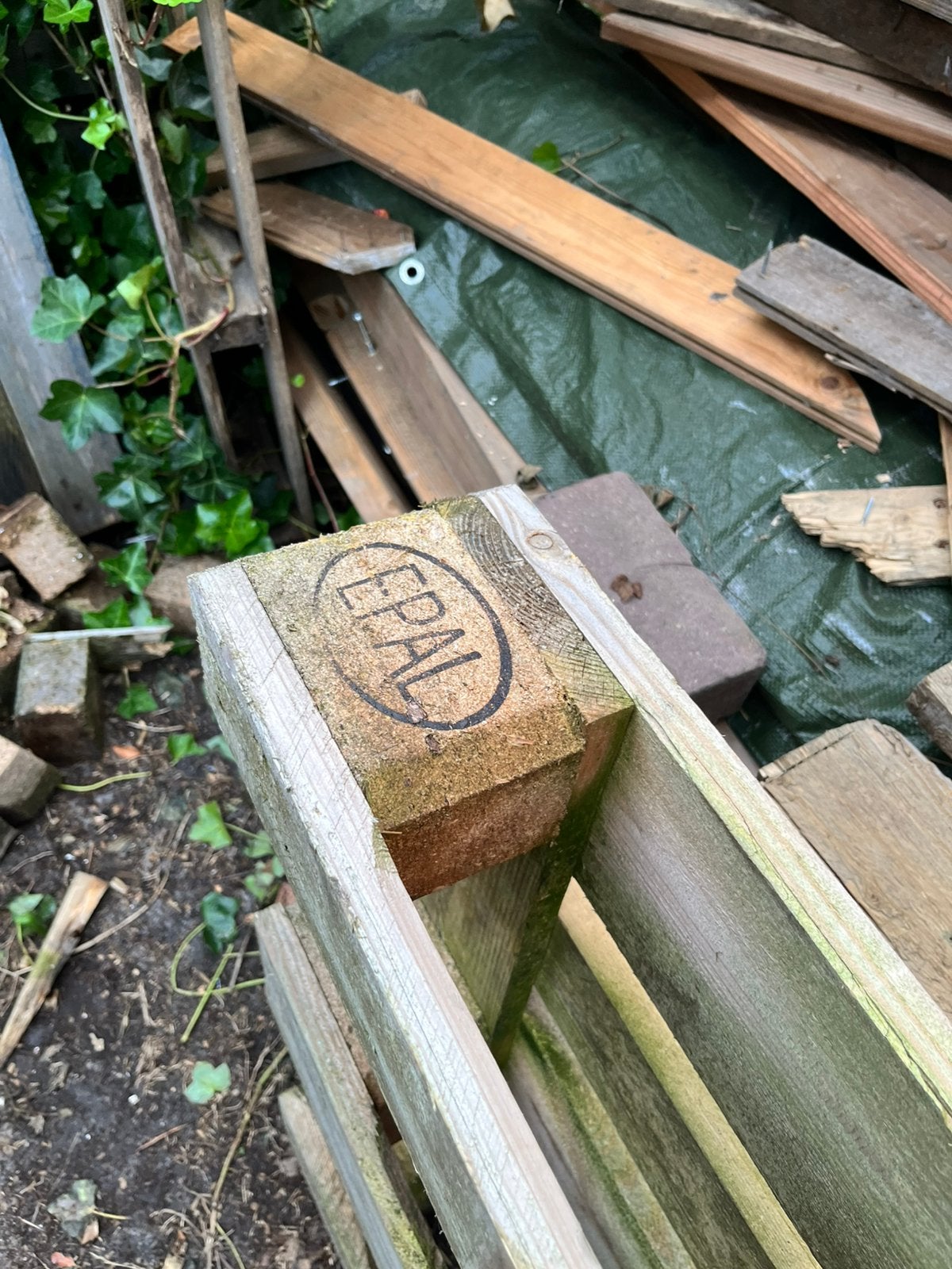 gratis pallet, Doe-het-zelf en Verbouw, Ophalen, Zo goed als nieuw, Pallet, Minder dan 200 cm