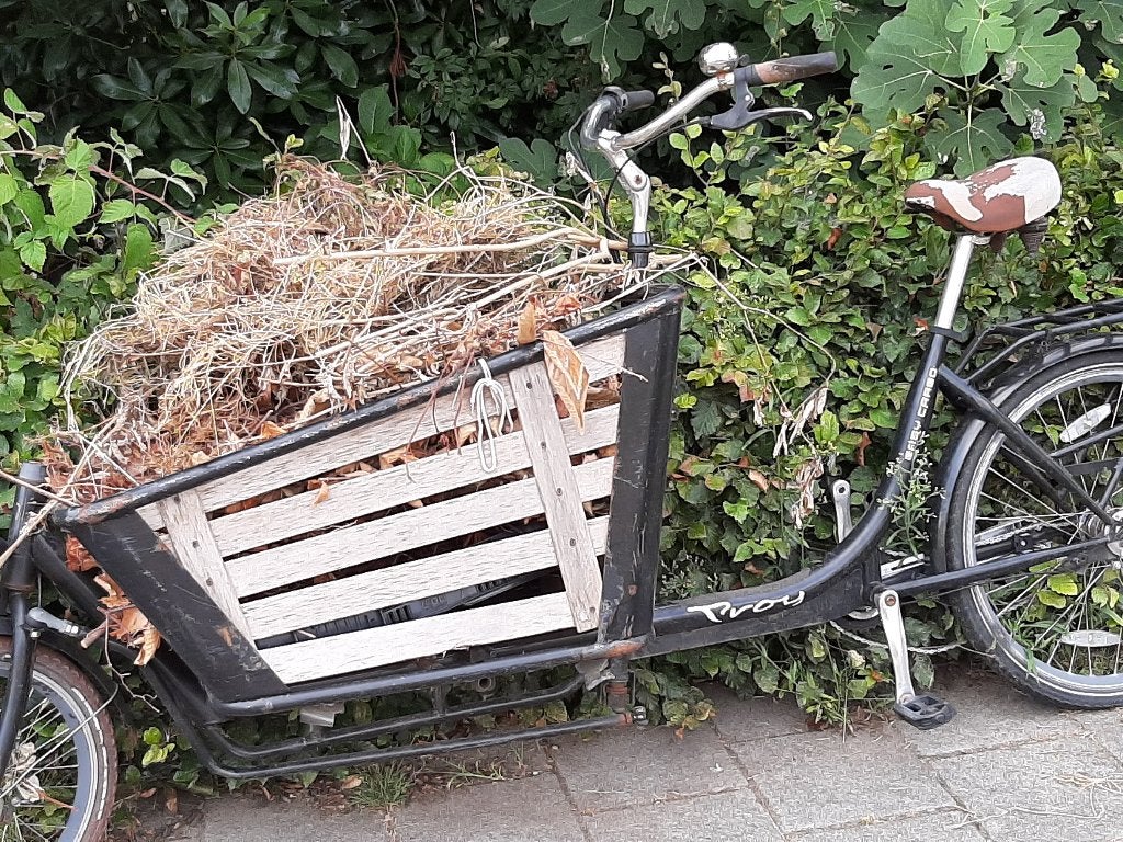 Bakfiets Troy Easy Cargo - Opknapper, Gebruikt, 2 kinderen, Schijfrem, Ophalen