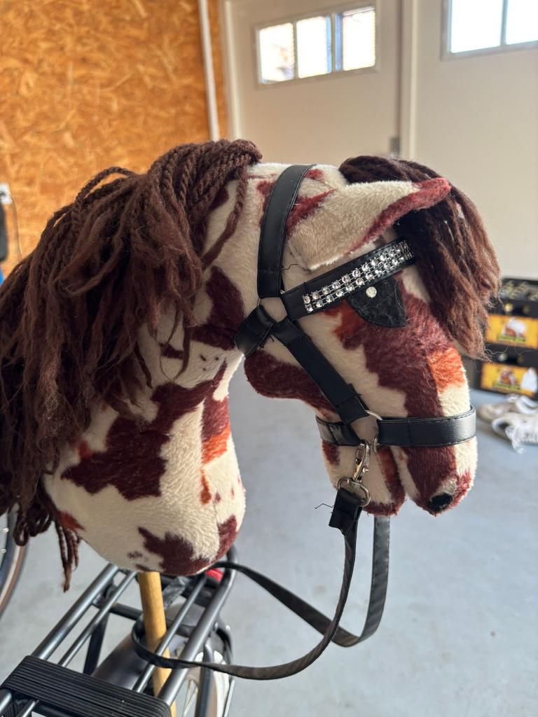 Stokpaard met bruine manen, Ophalen, Zo goed als nieuw, Jongen of Meisje