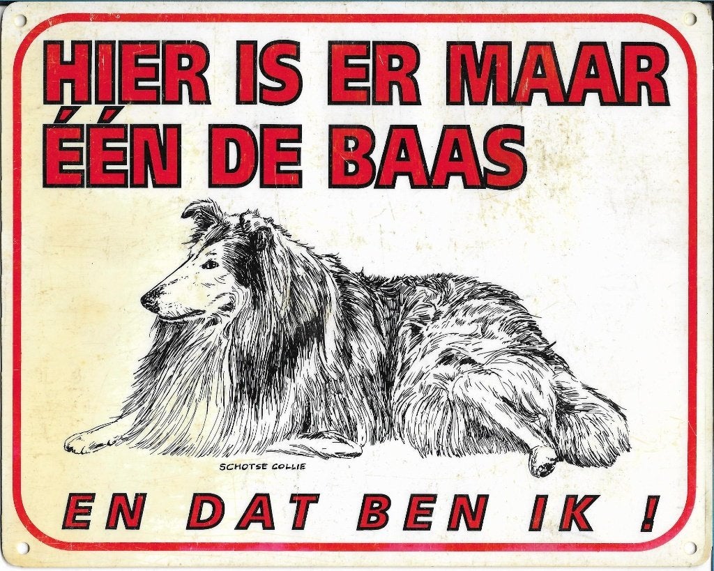 Hier is er maar een de baas en dat ben ik, Ophalen of Verzenden, Gebruikt, Overige typen