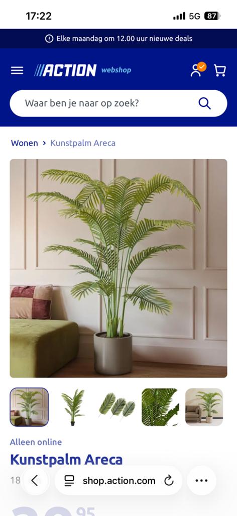 Kunstpalm, Ophalen of Verzenden, Nieuw