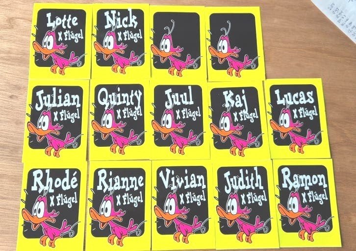 14 flugel naamstickers, Hobby en Vrije tijd, Ophalen of Verzenden