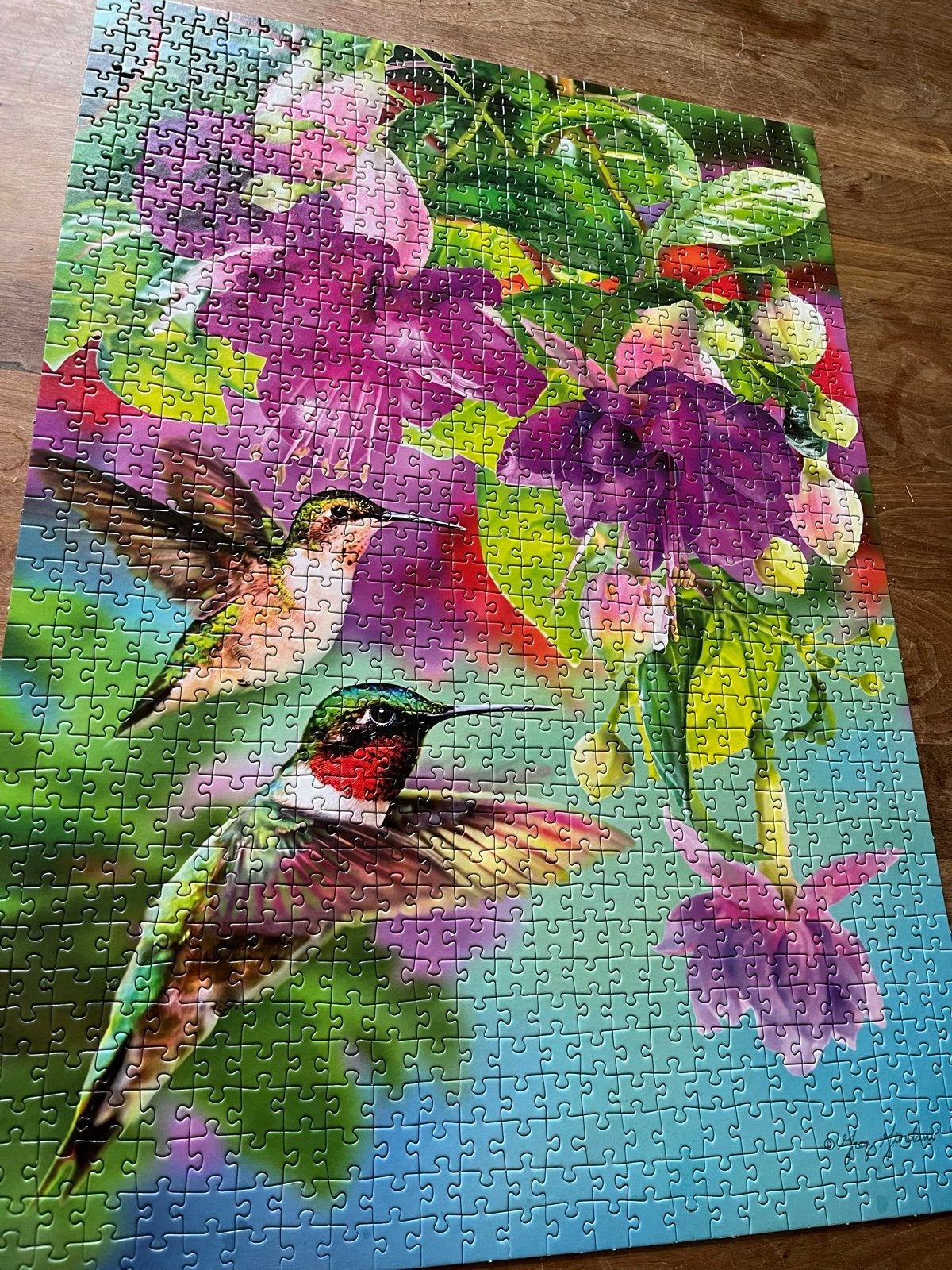 Piatnik Legpuzzel Kolibries & Bloemen - 1000 stukjes, Ophalen, 500 t/m 1500 stukjes, Gebruikt, Legpuzzel