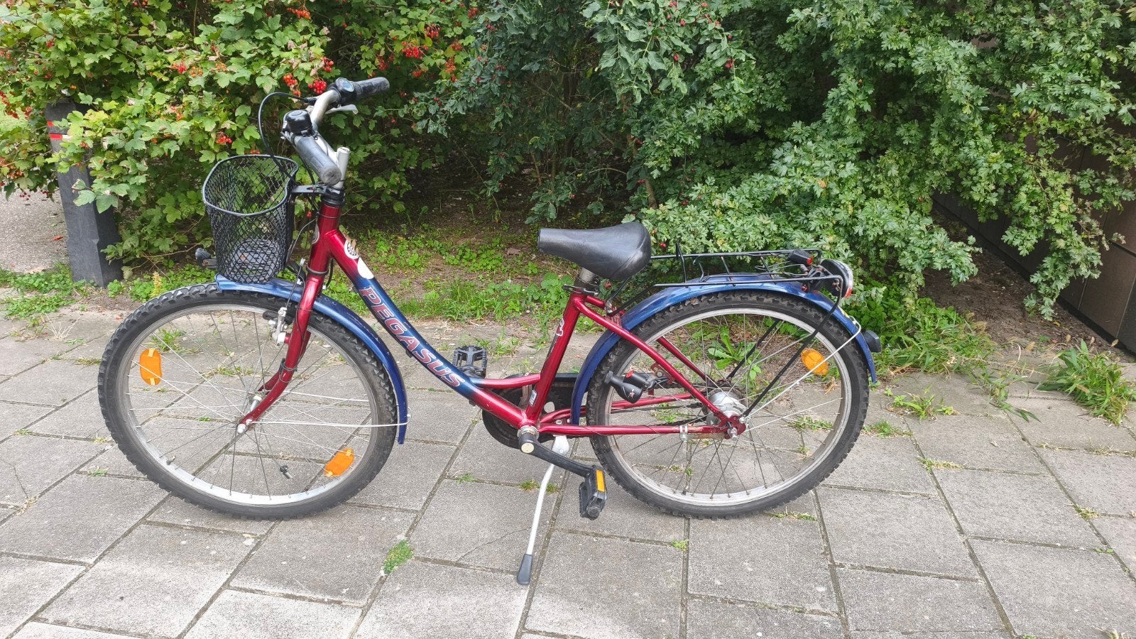 Pegasus kinderfiets 24 inch met mand en bagagedrager, Ophalen, 20 inch of meer, Gebruikt, Velgrem