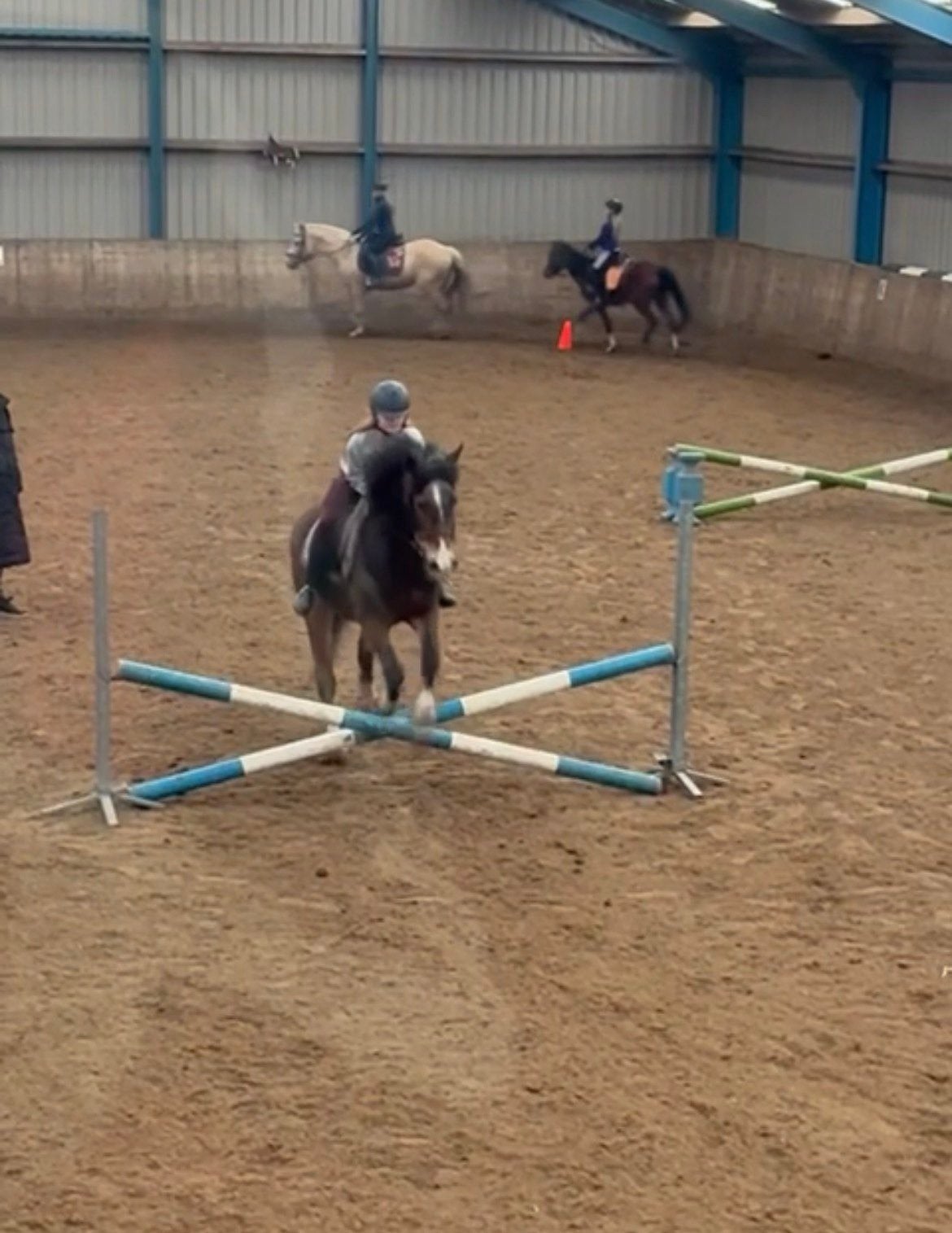Lease/verzorg pony/paard  gezocht!!, Ophalen of Verzenden