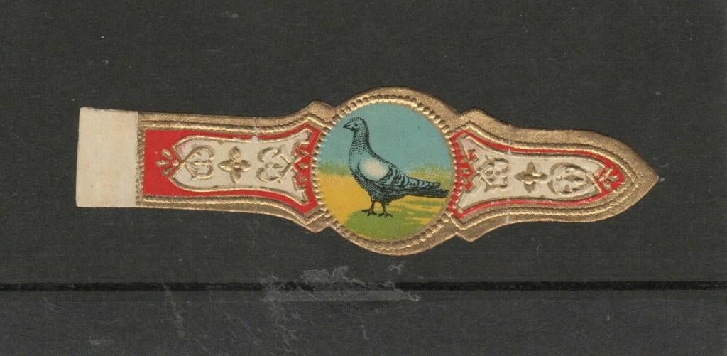 zonder naam duif 5, Ophalen of Verzenden, Sigarenbandjes