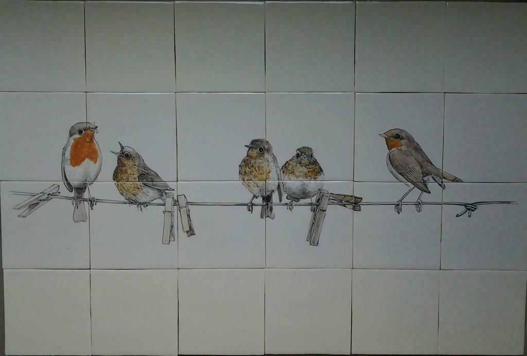 Authentieke Friesche witjes en tableaus, Ophalen, Gebruikt, Hardsteen, Wandtegels