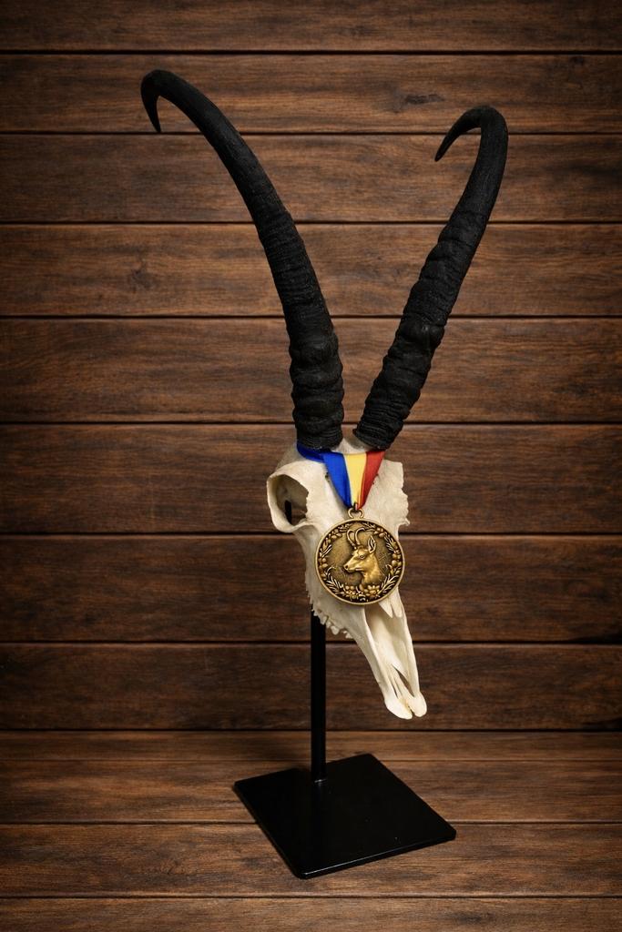 Replica Wereldrecord Gems - Jacht Trofee, Ophalen of Verzenden