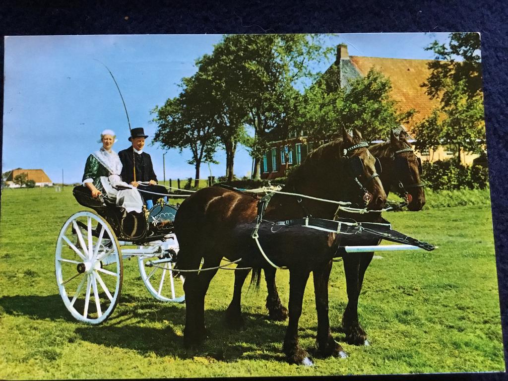 Klederdracht Oude Friesland ansichtkaart Sjees, Verzamelen, Ansichtkaarten | Nederland, Gelopen, Friesland, 1980 tot heden, Ophalen of Verzenden