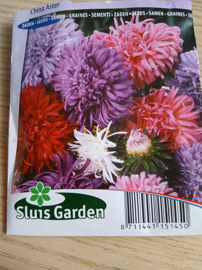 China Aster zaden - Callistephus chinensis, Tuin en Terras, Bloembollen en Zaden, Ophalen of Verzenden, Volle zon