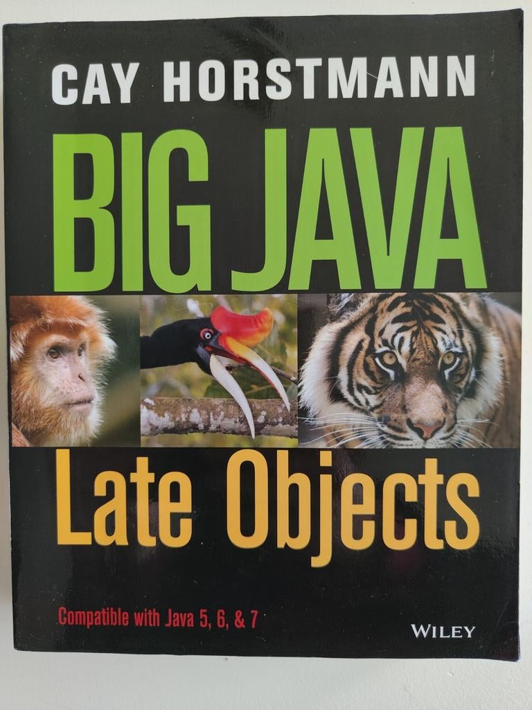 Big Java: Late Objects - Cay Horstmann, Boeken, Studieboeken en Cursussen, Zo goed als nieuw, HBO, Beta, Ophalen of Verzenden
