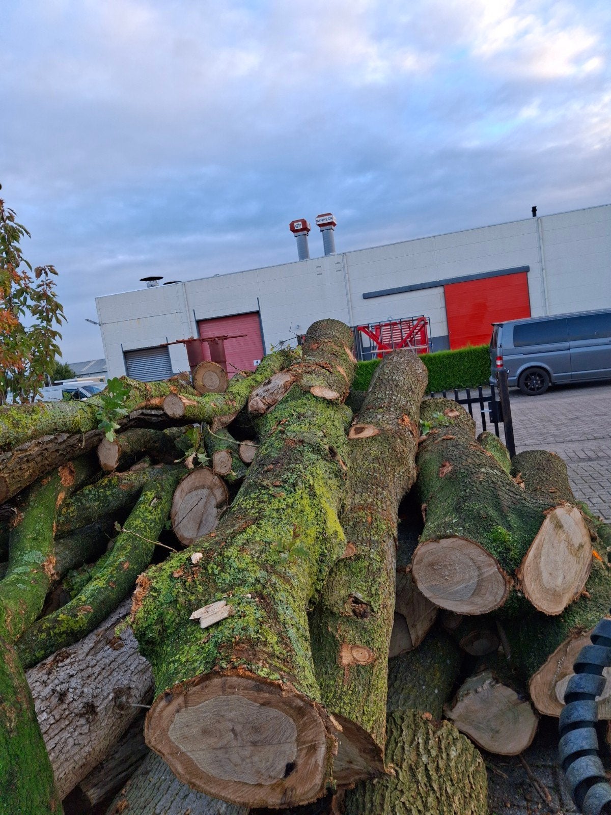 haardhout,  stammen eik  vers  9 kuub, 6 m³ of meer, Ophalen, Eikenhout, Stammen