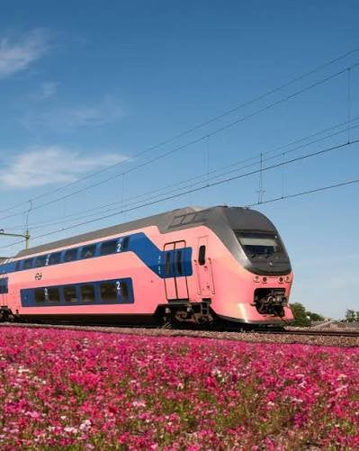 Couponcode voor  NS dagretour, Eén persoon, Trein, Algemeen kaartje