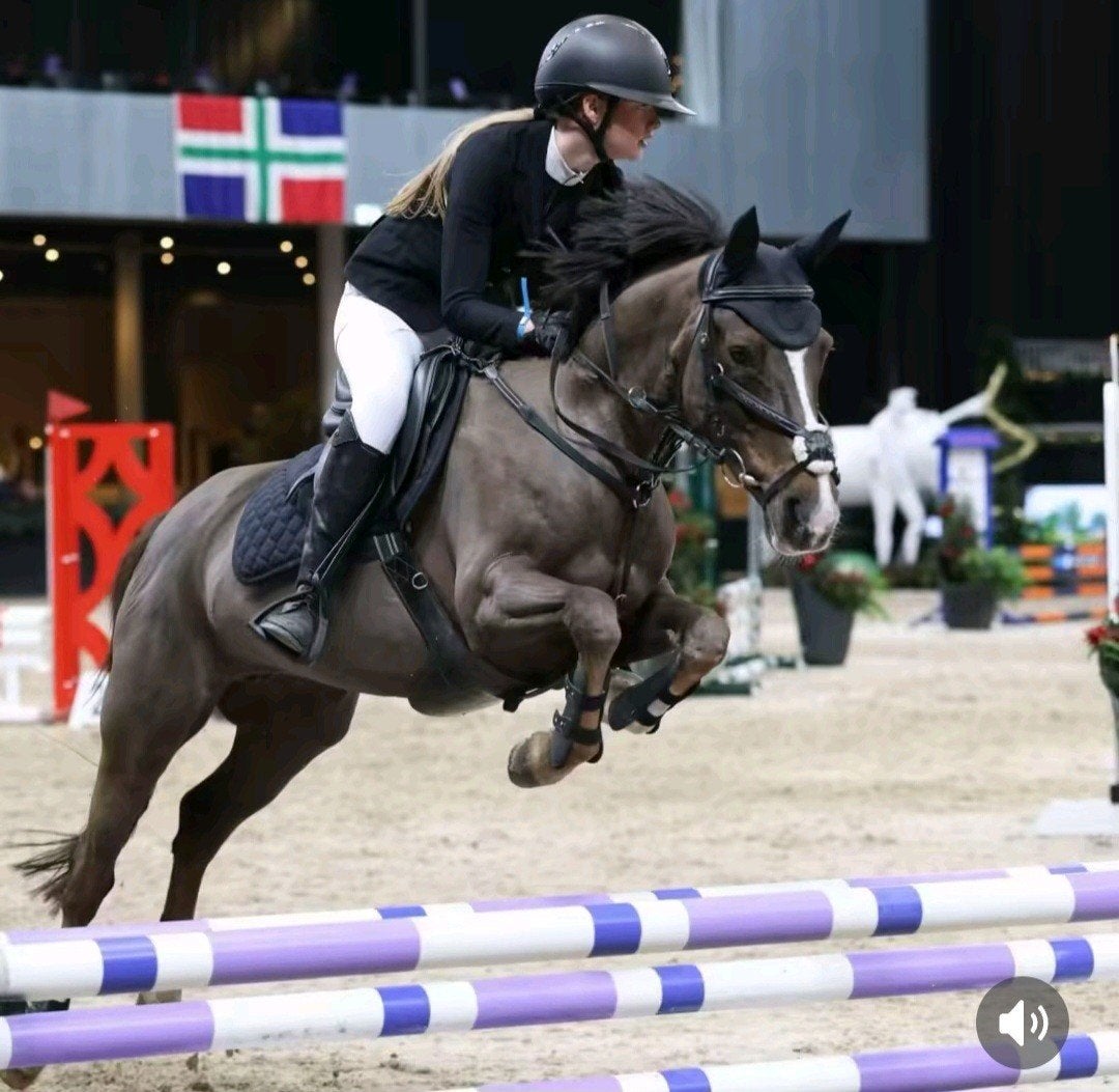 allround sportpony, Merrie, Gechipt, 11 jaar of ouder