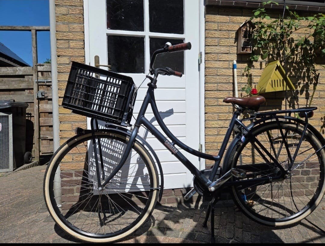 mooie pointer meiden fiets!, Ophalen, Terugtraprem, Pointer, Versnellingen