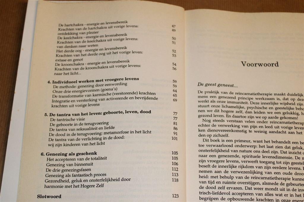 Reïncarnatie Therapie — Genezing vanuit Voorbije Levens, Boeken, Ophalen of Verzenden, Gelezen, Overige onderwerpen, Achtergrond en Informatie